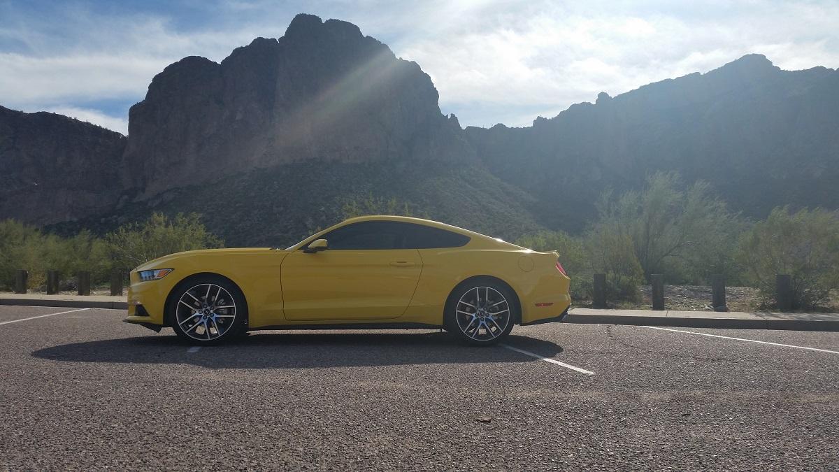 stang4.jpg