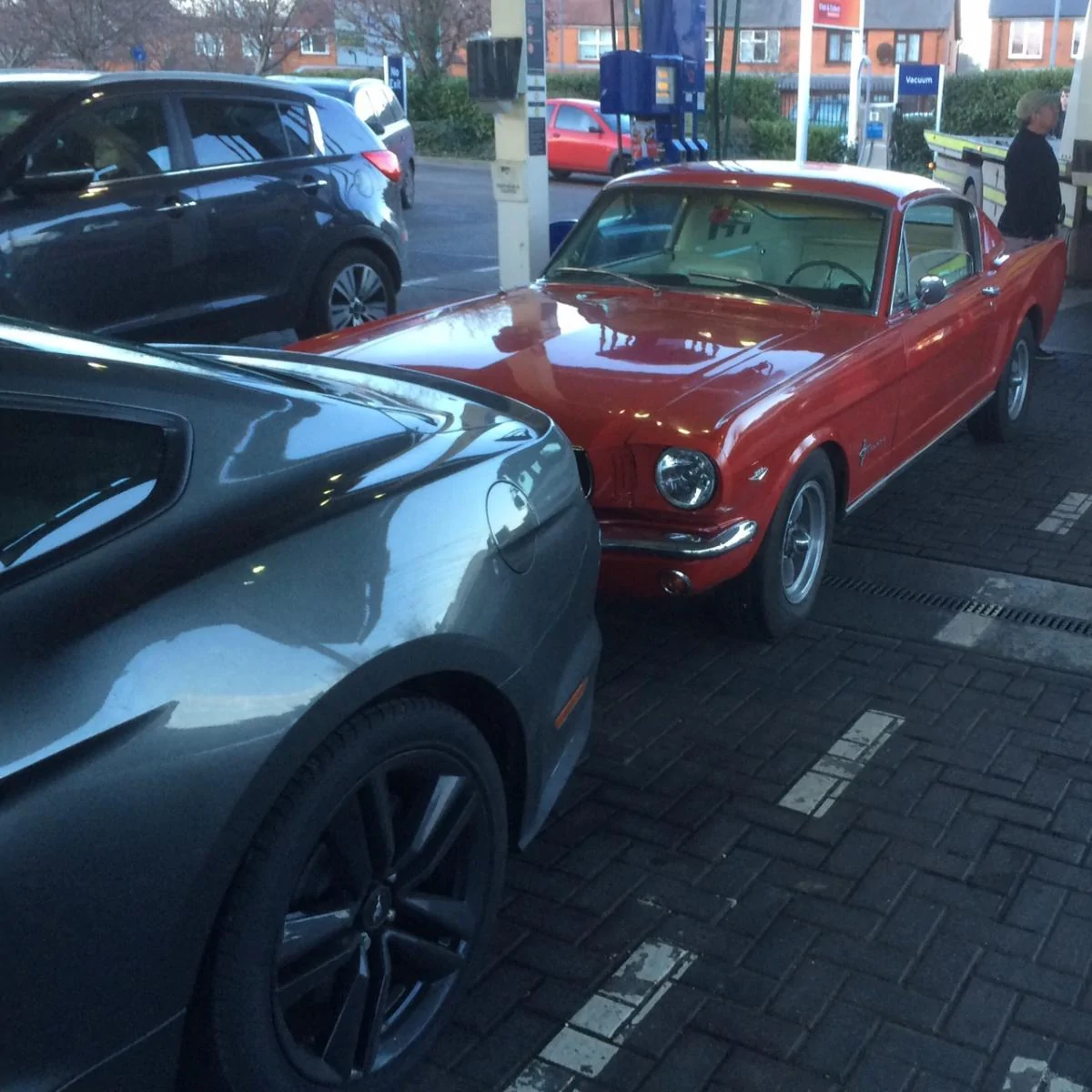 2016-01-16 Mustang at Sainsburys2.webp
