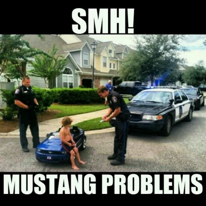 mustang problem.webp