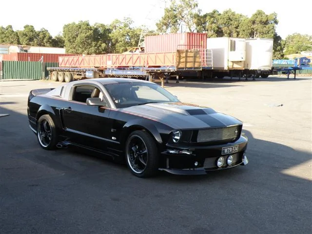 Mustang.webp