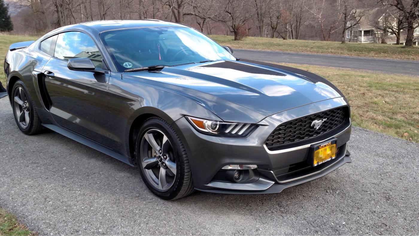 Mustang123.jpg
