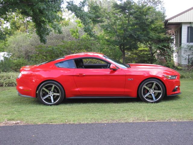 low res mustang photos 021.JPG