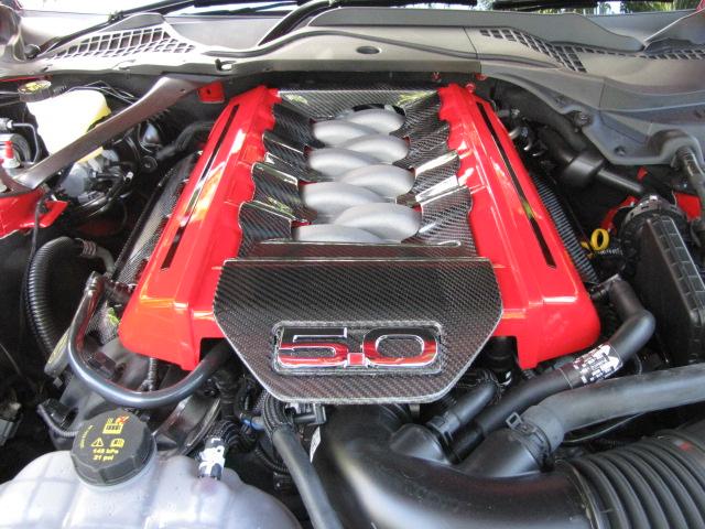 low res mustang photos 024.JPG