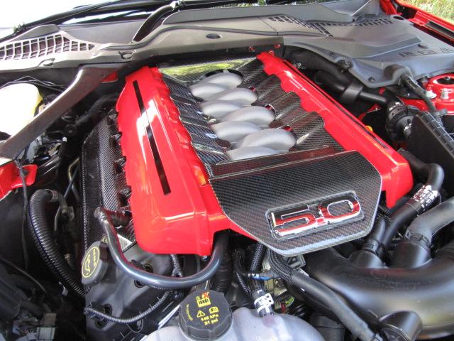 low res mustang photos 023.JPG