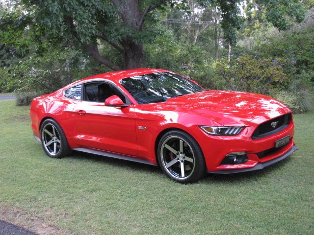 low res mustang photos 020.JPG