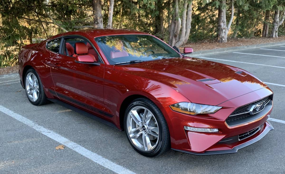 mustang 032.jpg