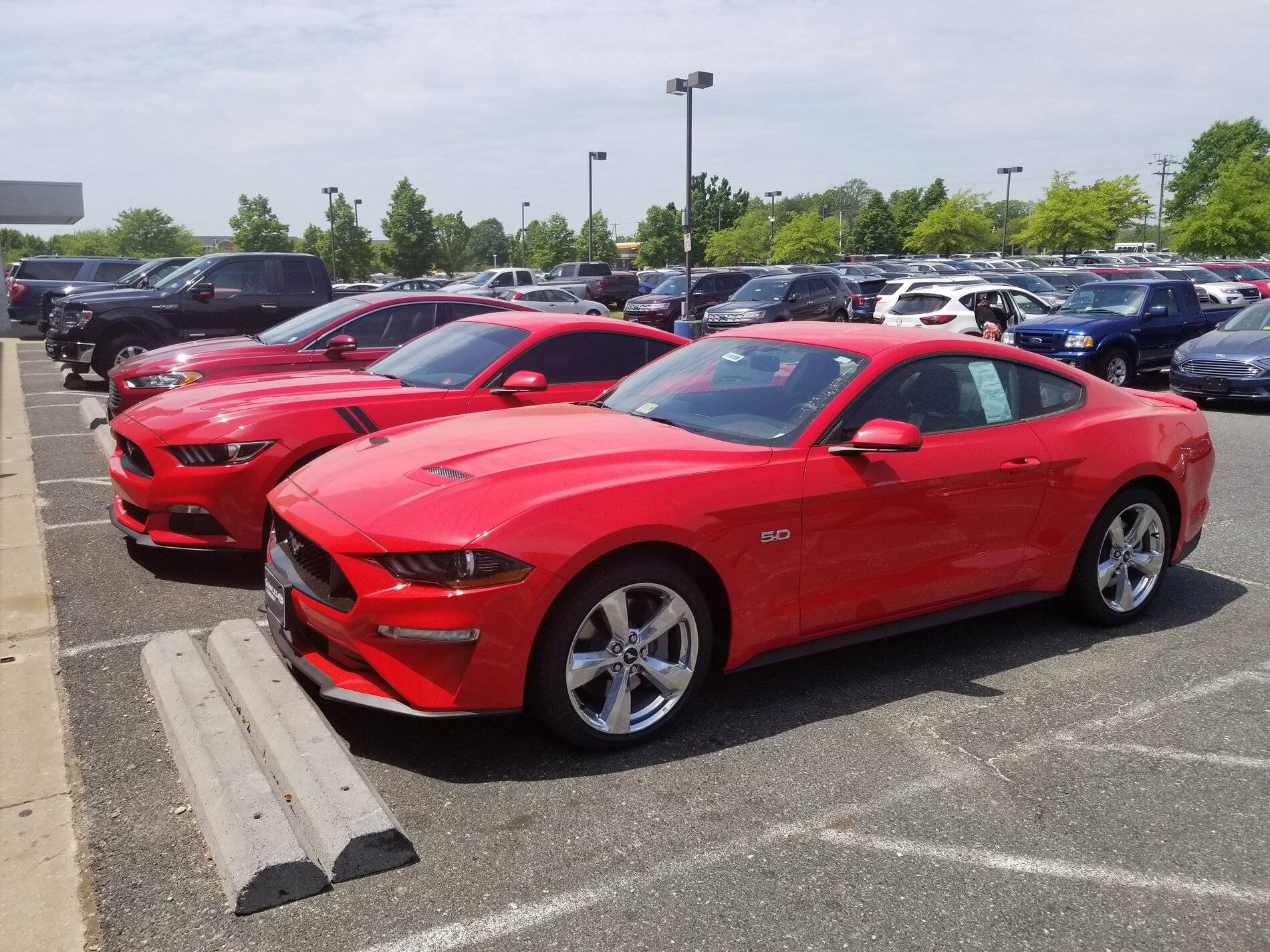 20180510_125639.jpg