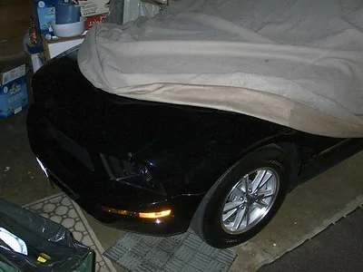Mustang followed me home and I kept it.webp
