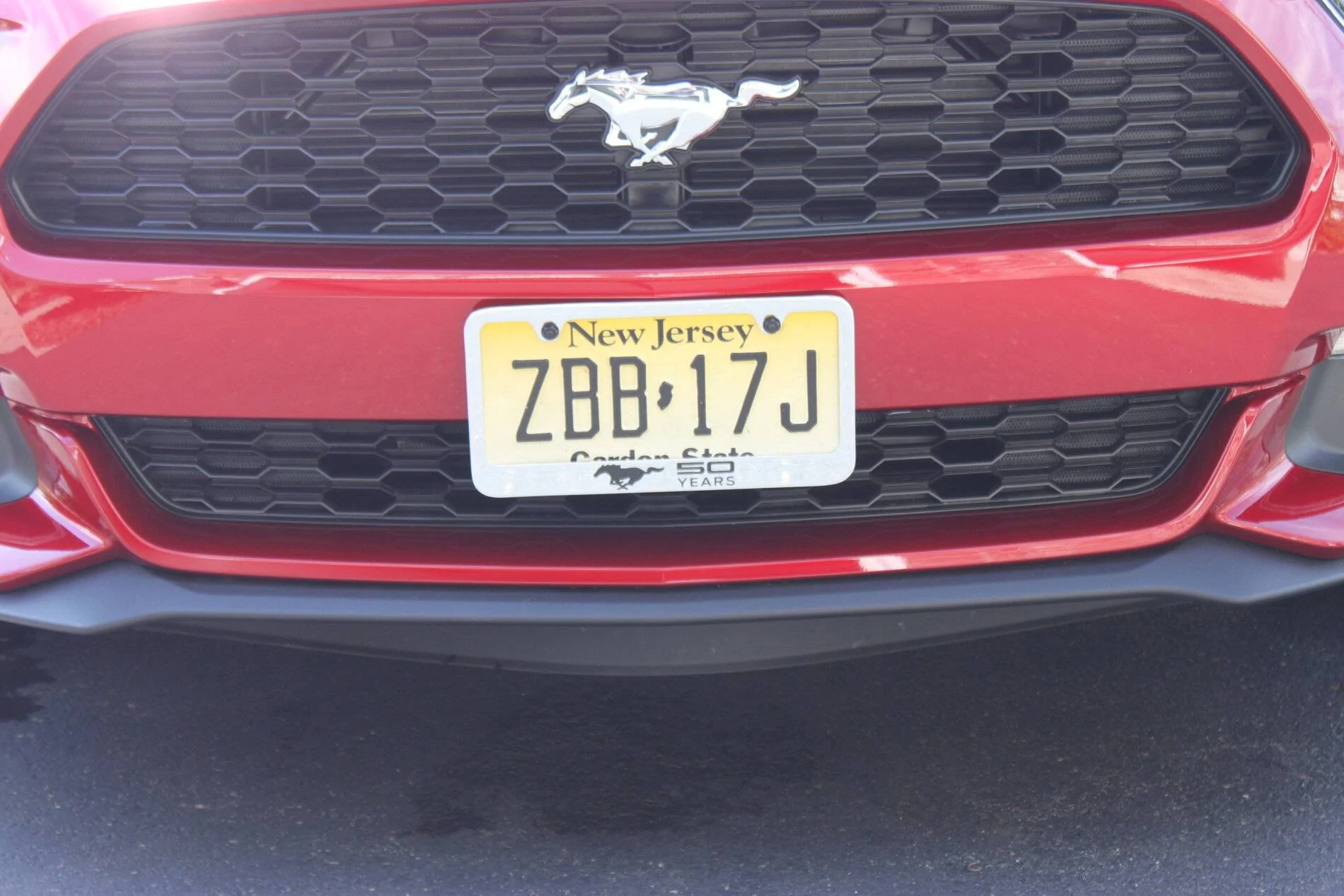 IMG_3318.webp