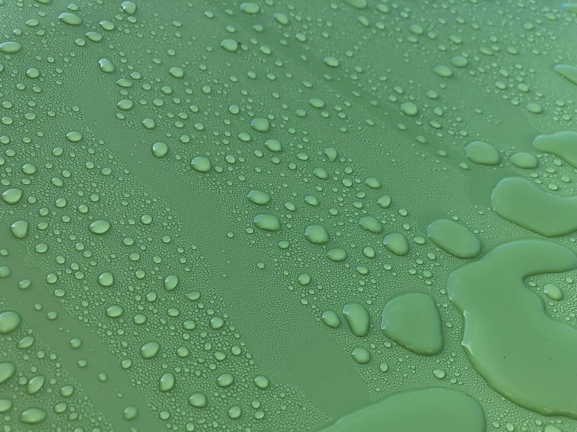 0-B344243-85-F6-40-DB-9-E63-62-D6-C83-DCAC3.jpg