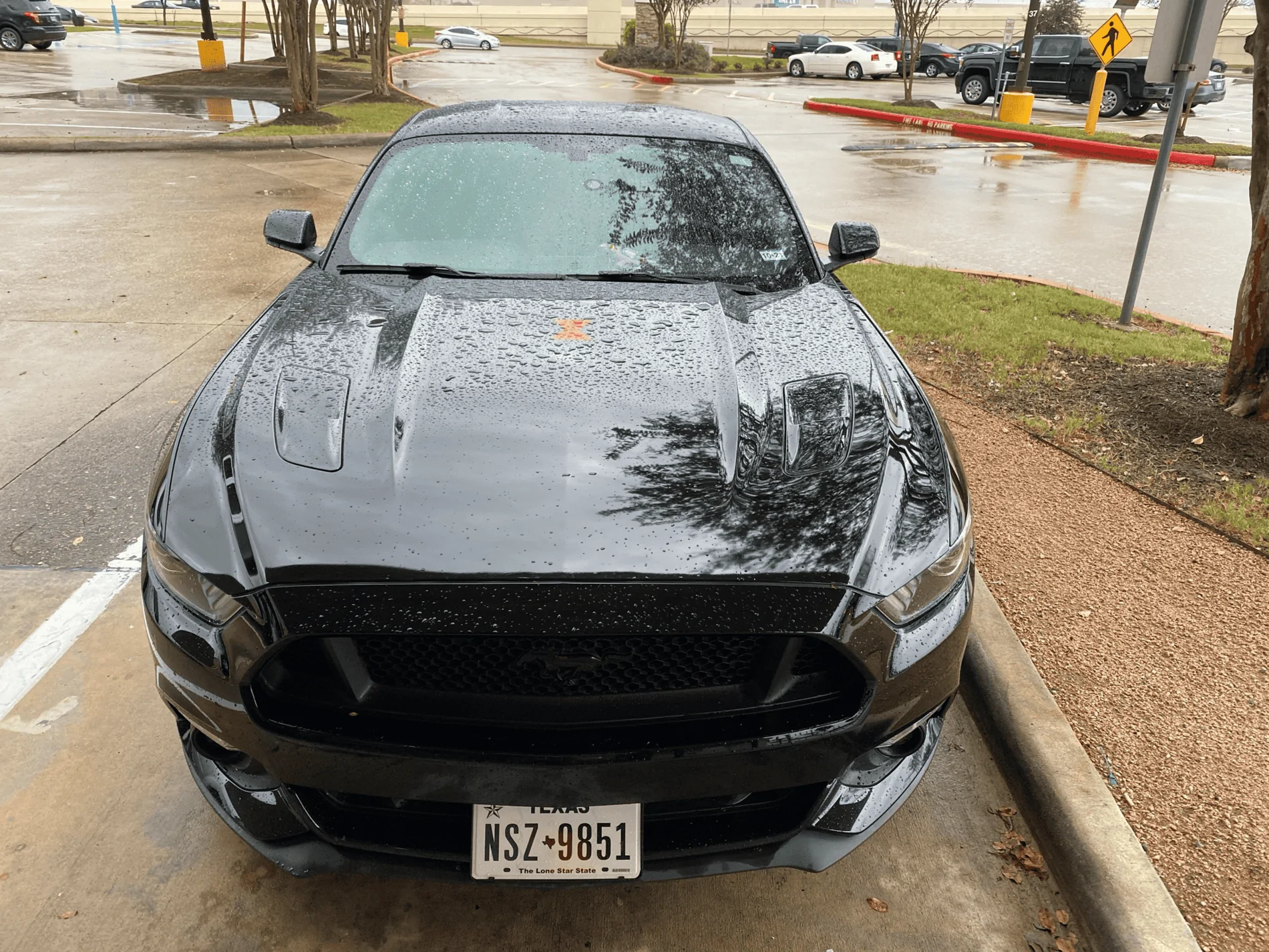 Shadow front.webp