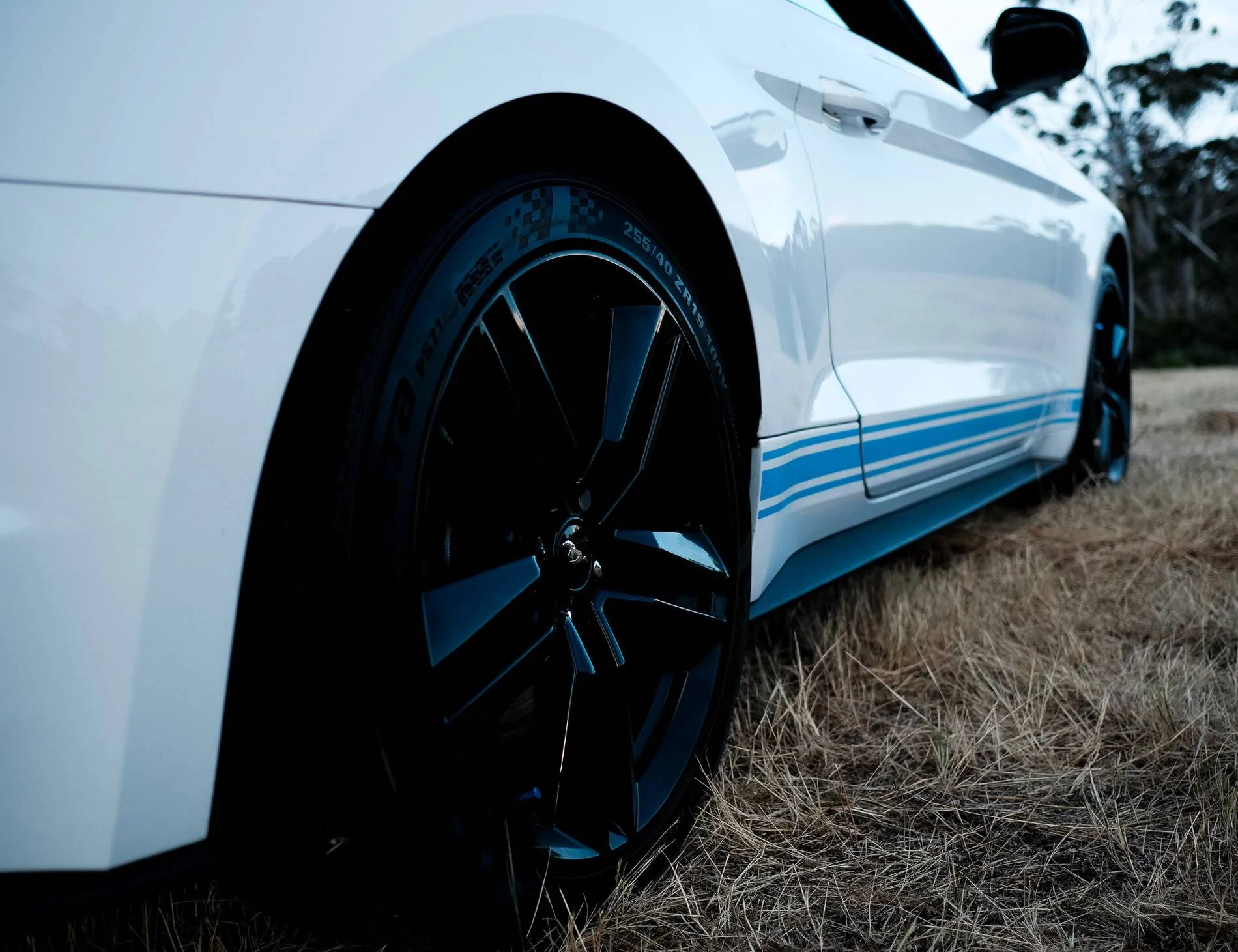 DSCF0056.webp
