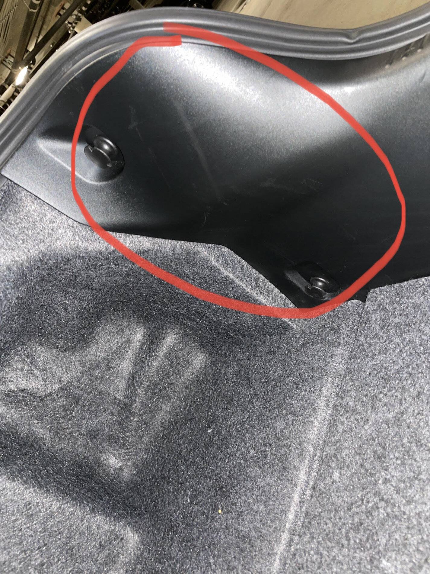 Trunk.jpg