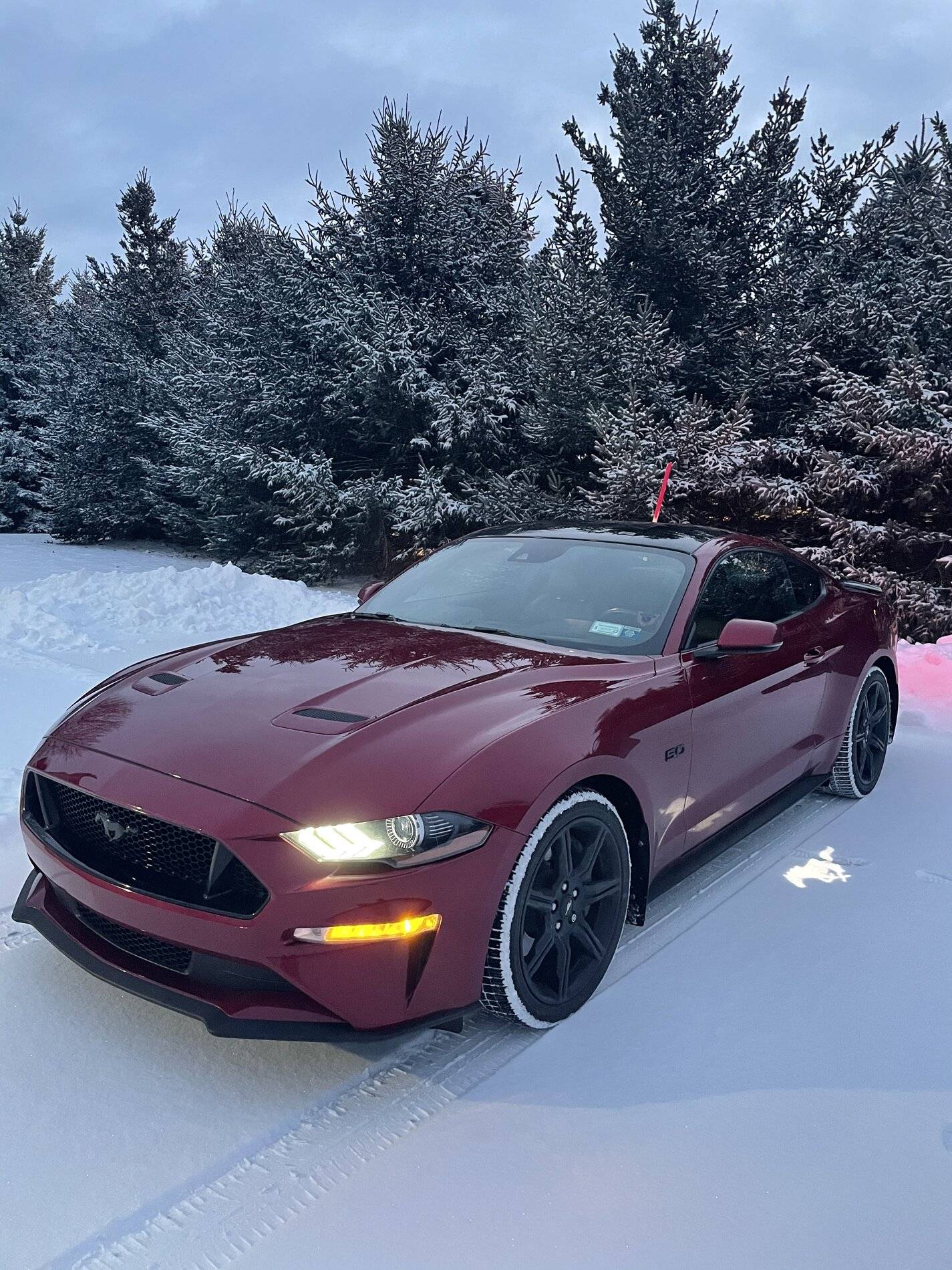 71362280-3554-4E56-AF55-7162BA621570.jpeg
