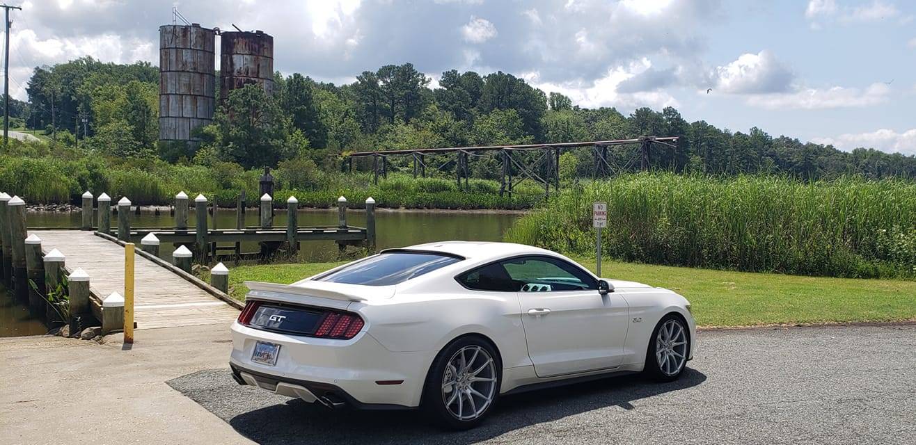 Mustang.jpg