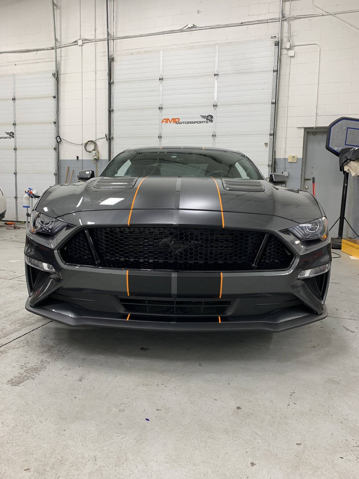 Mustang GT14.JPG