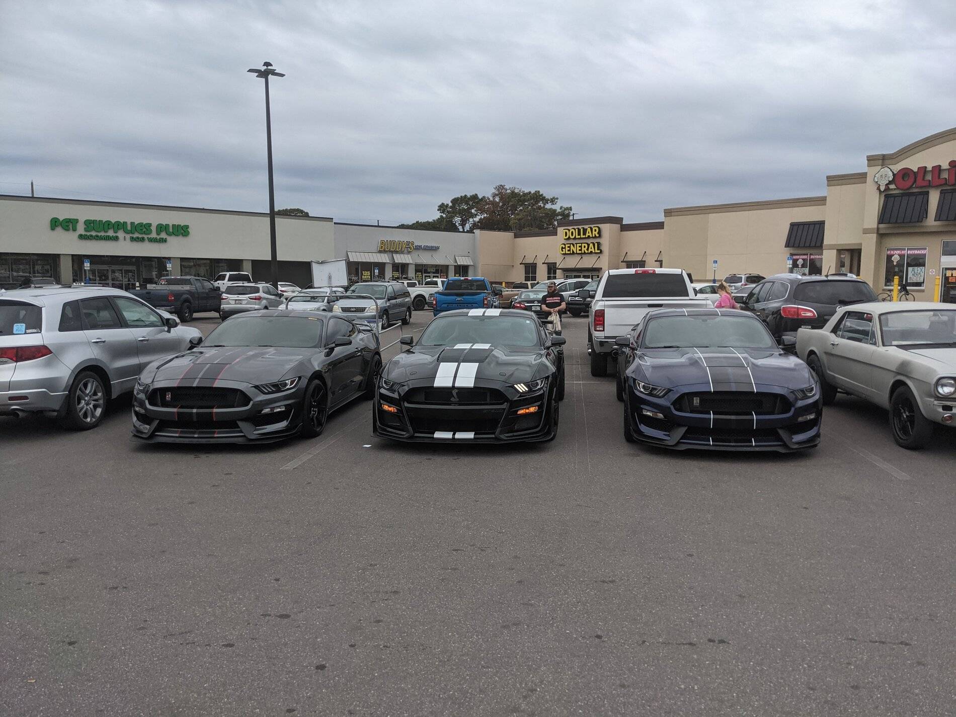 PXL_20201220_153214774.jpg