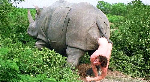 tumblr_mmc11becqz1qib1ebo1_500.gif