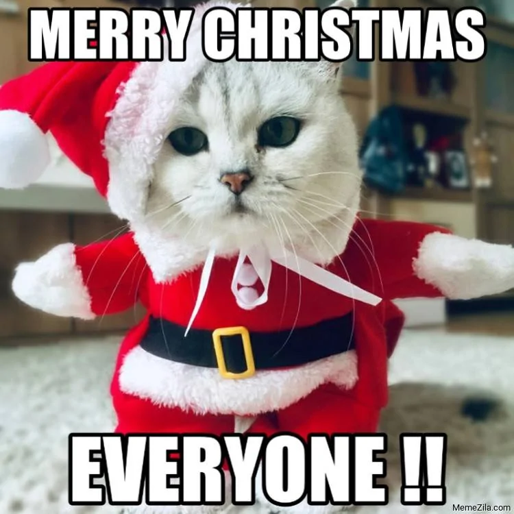 4BAF1F8E-1E3C-4923-AE63-A0FEBD0C0E3E.webp