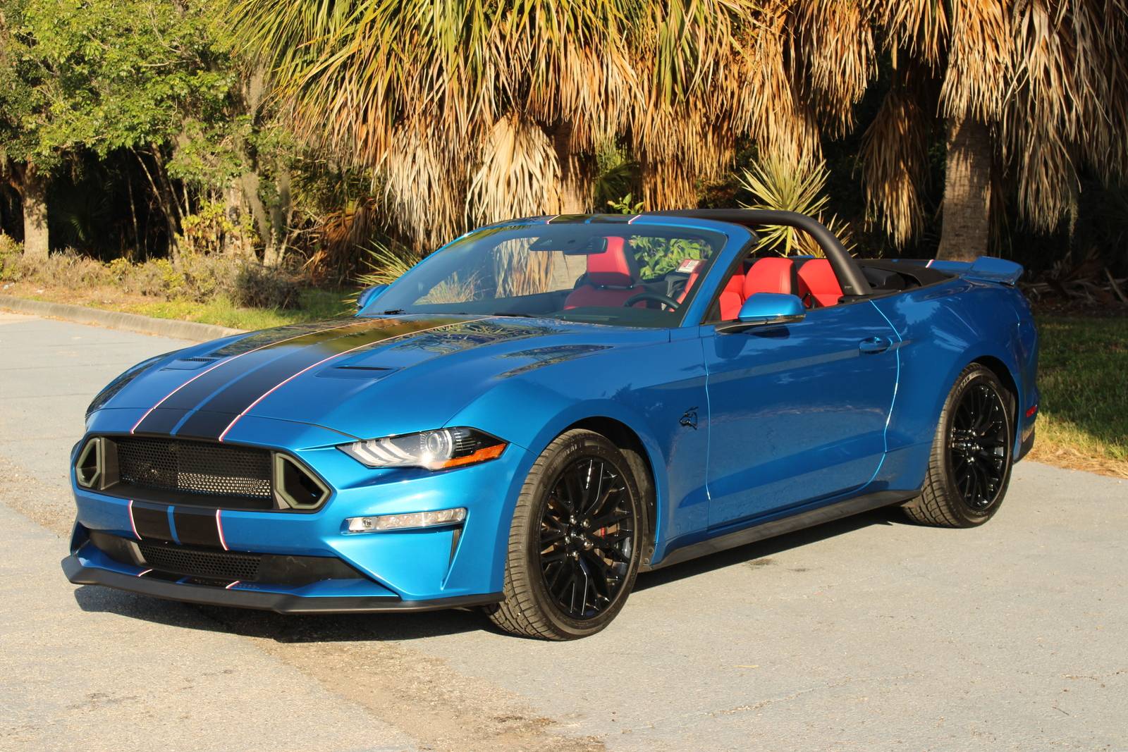 Stang.jpg