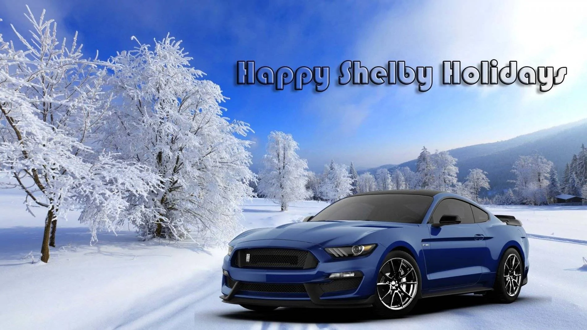 shelby xmas.webp