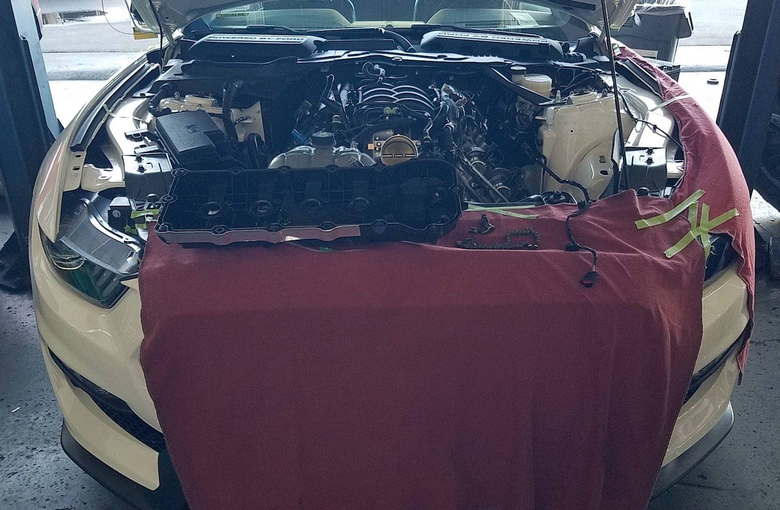 GT350HEP5.jpg