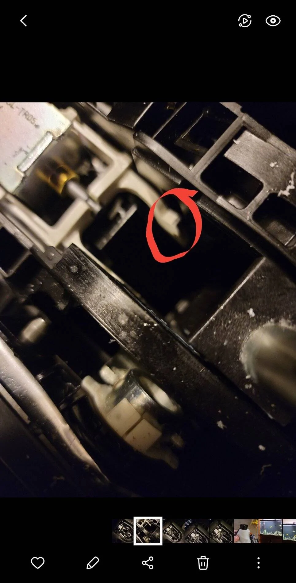 Screenshot_20201229-195904_Gallery.webp
