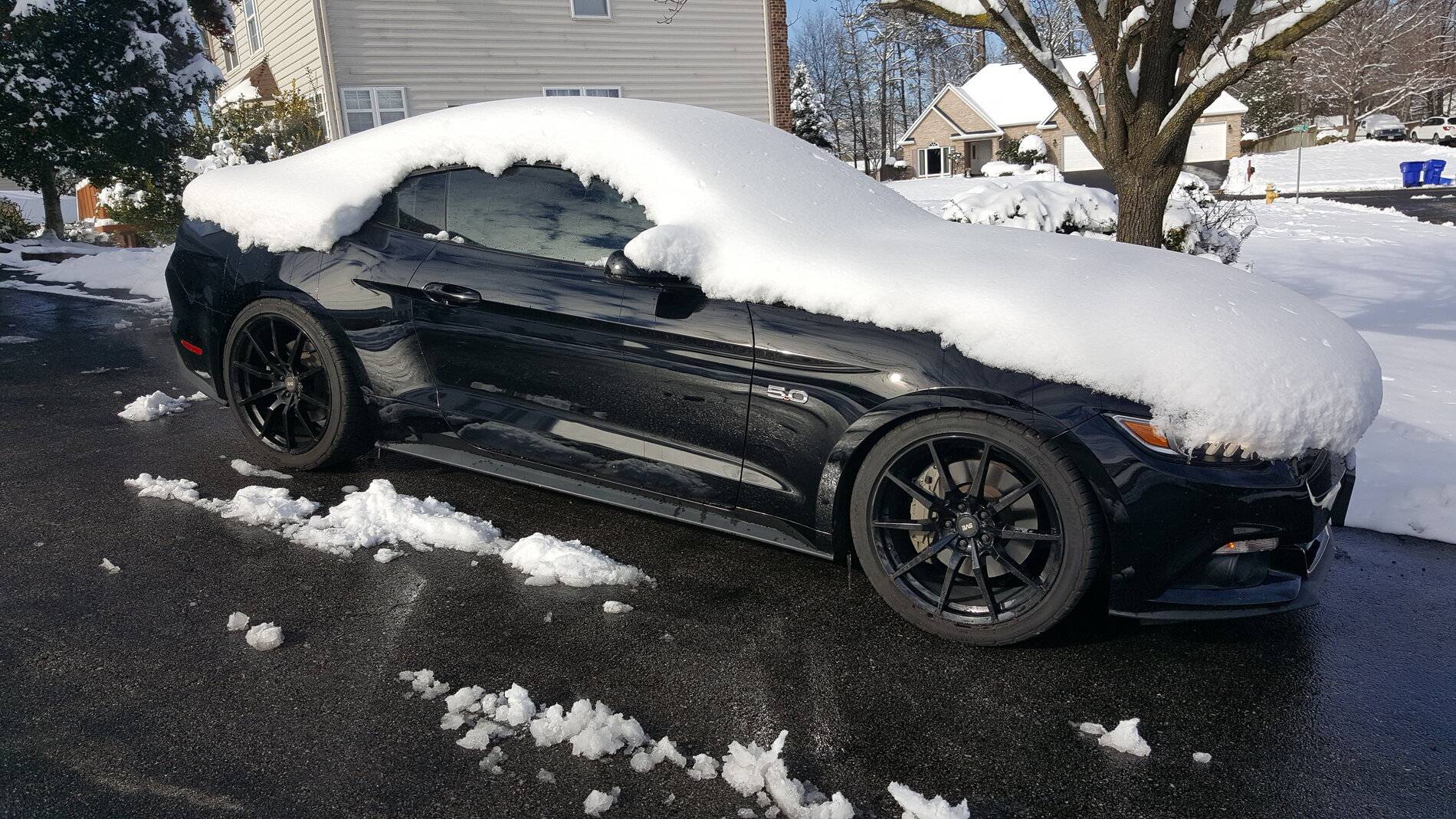 20190114_132346.jpg