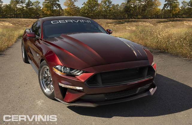 cobra r hood.jpeg