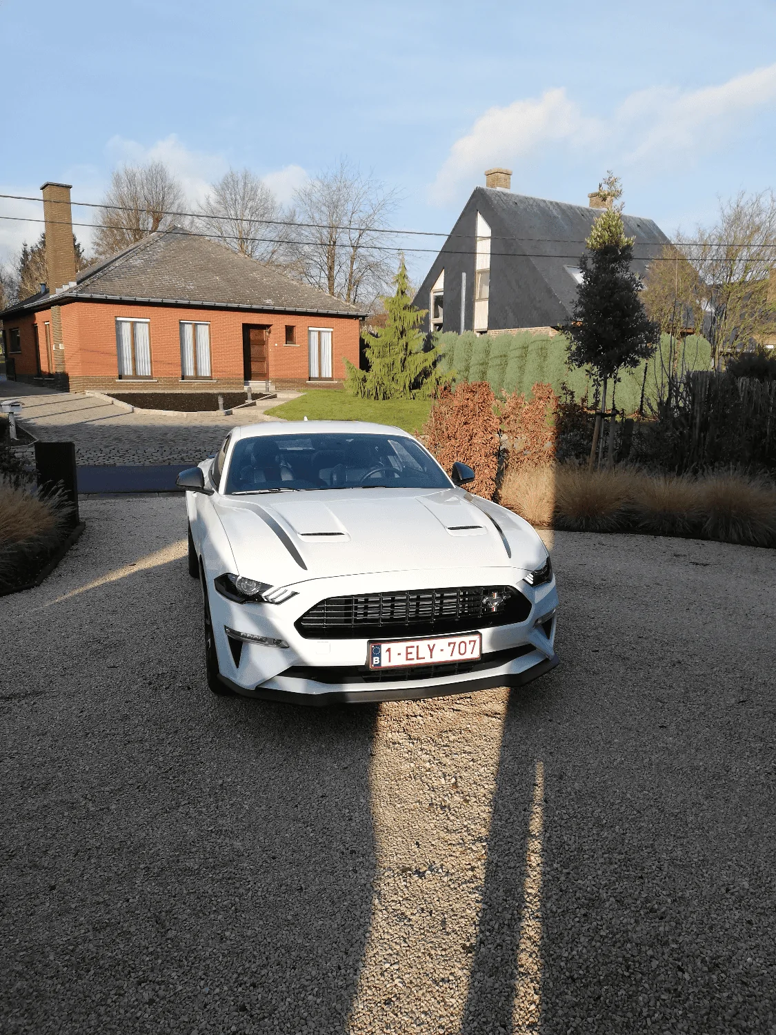 Stang front.webp