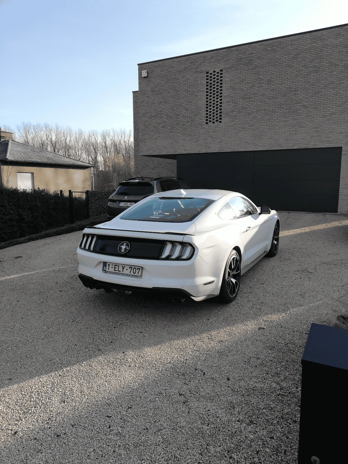 Stang back.webp