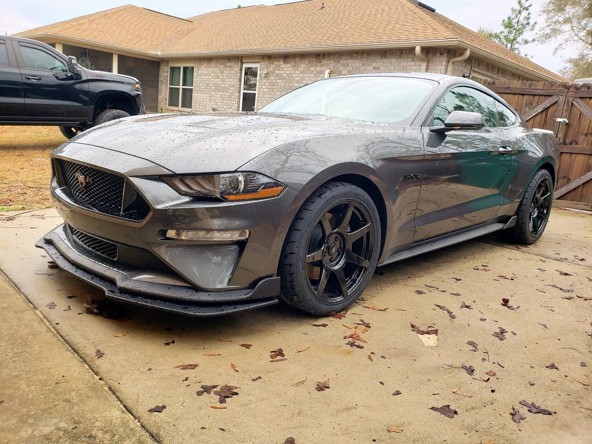 mustang (2).jpg