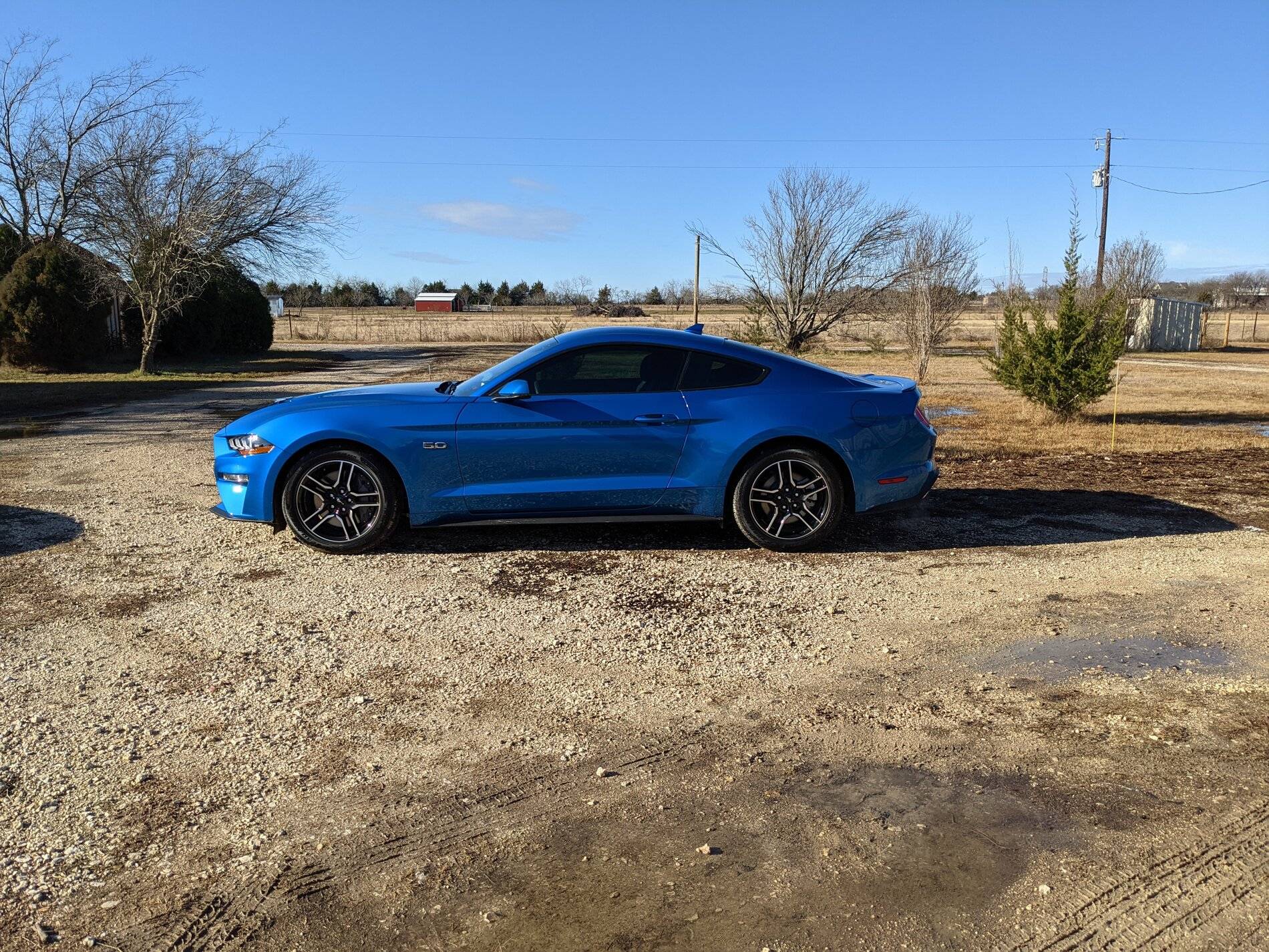 PXL_20210102_154748420.jpg