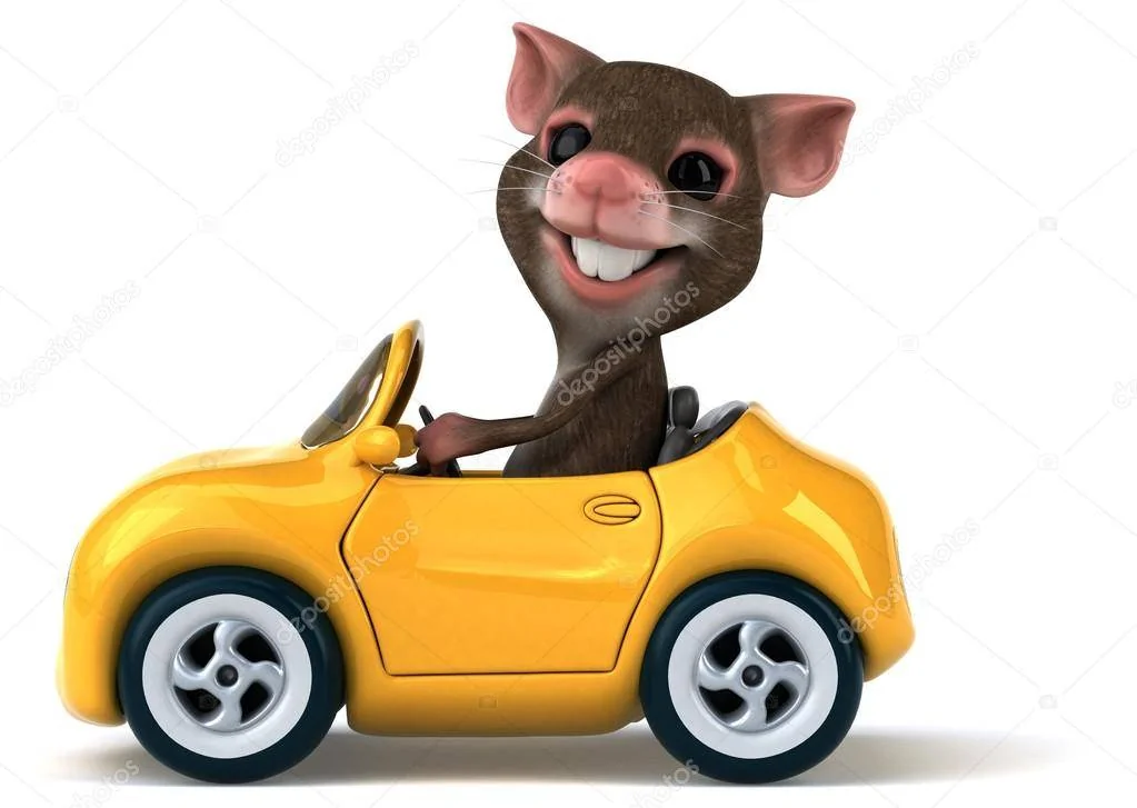 depositphotos_88647290-stock-photo-funny-mouse-in-car.webp