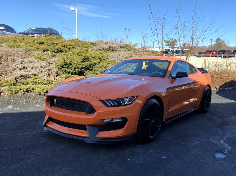shelby66.jpg