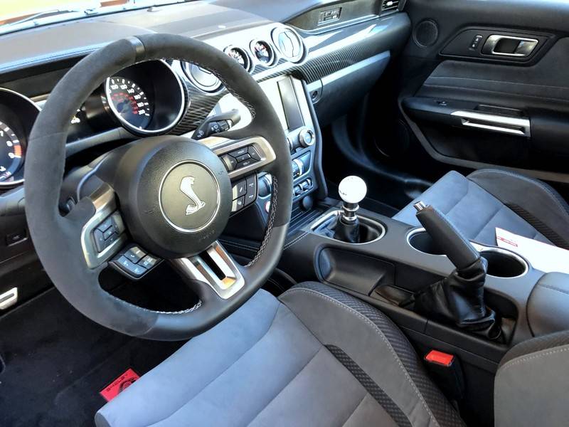 shelby24.jpg