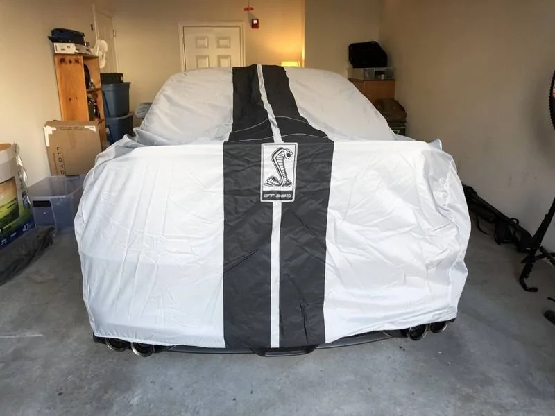 shelby25.jpg