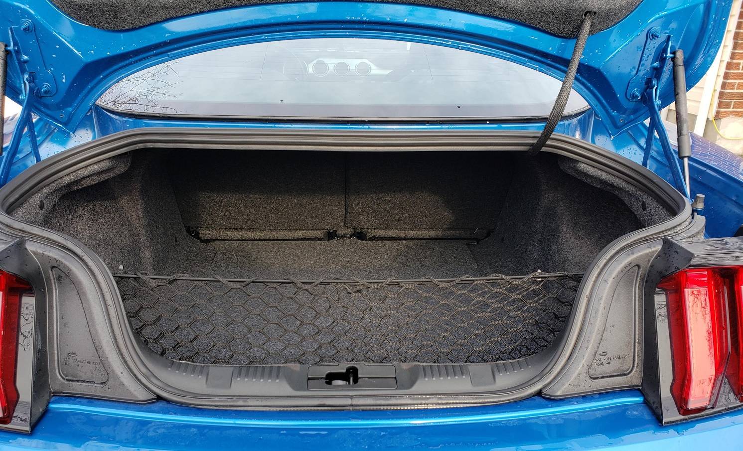 trunk.jpg