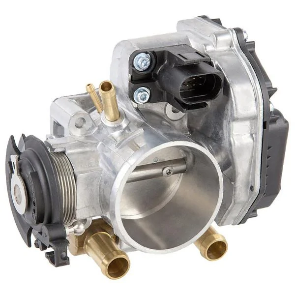 throttle-body-bap.webp