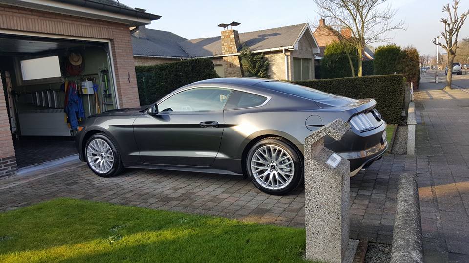 946139_795064350603392_694210398355107214_n.jpg