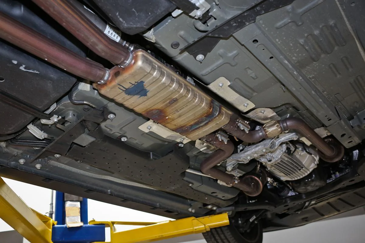 image.webp