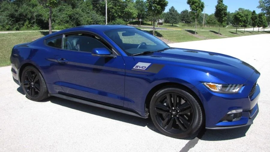 mustang-right.webp