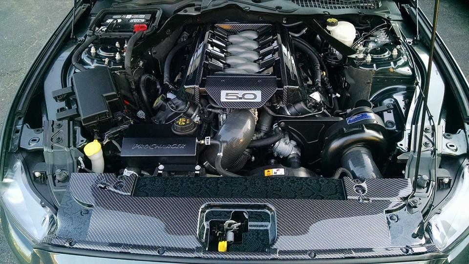 cc5.jpg