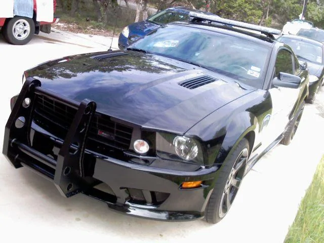 bumper.webp