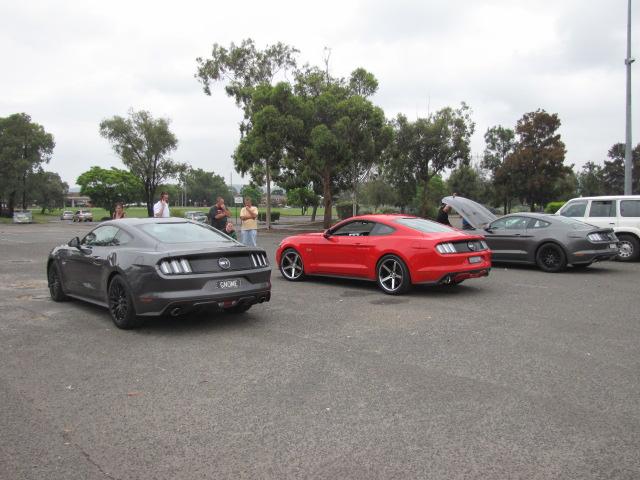 Mustang6g forum 005.JPG
