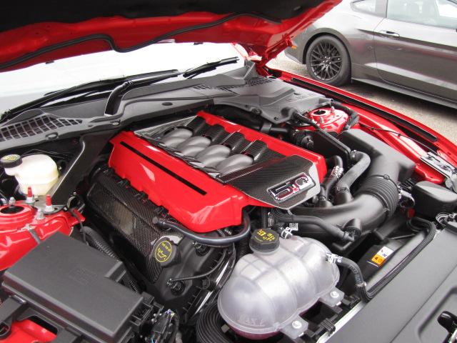 Mustang6g forum 013.JPG