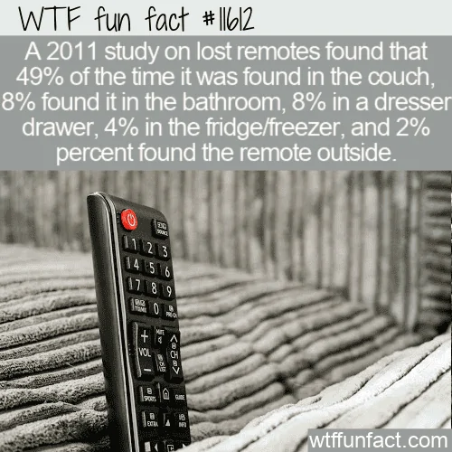 3298e0f08e0fe5cf74999d9ab5b9cd8f37e30f40.webp