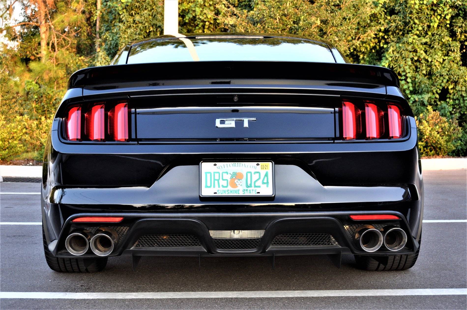 DSC_0224 (2).JPG