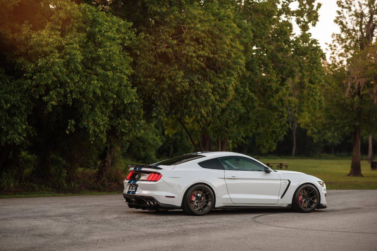 Shelby GT350-9.jpg