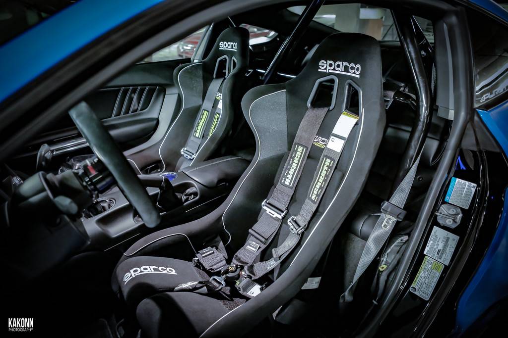Mstangdriver-XL.jpg